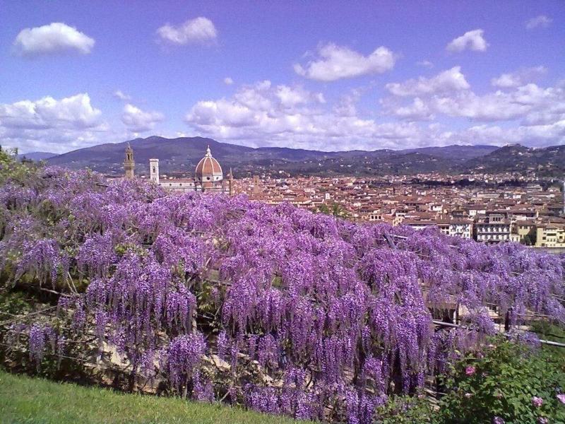 Soggiorno Alessandra Florence